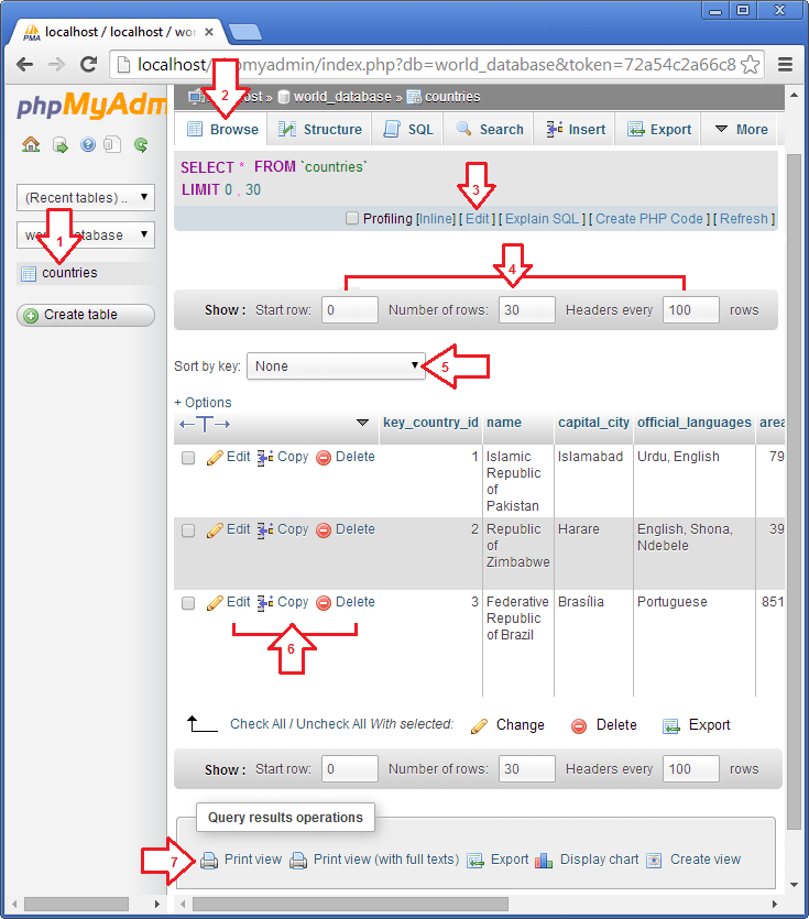 براؤز ٹیب پر کلک کر کے ٹیبل میں موجود ریکارڈز کی فہرست دیکھیں