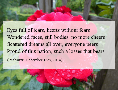 تصویر جس پر پی ایچ پی کی مدد سے چند لائنیں لکھی گئی ہیں